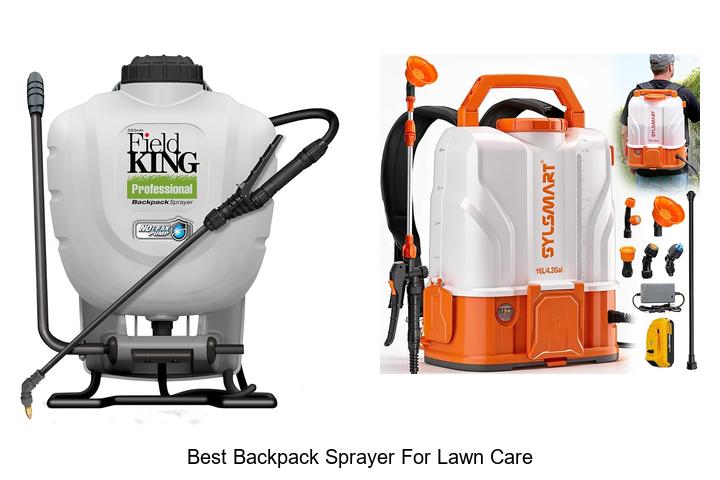 Best Backpack Sprayer For Lawn Care That Will Blow Your Mind
