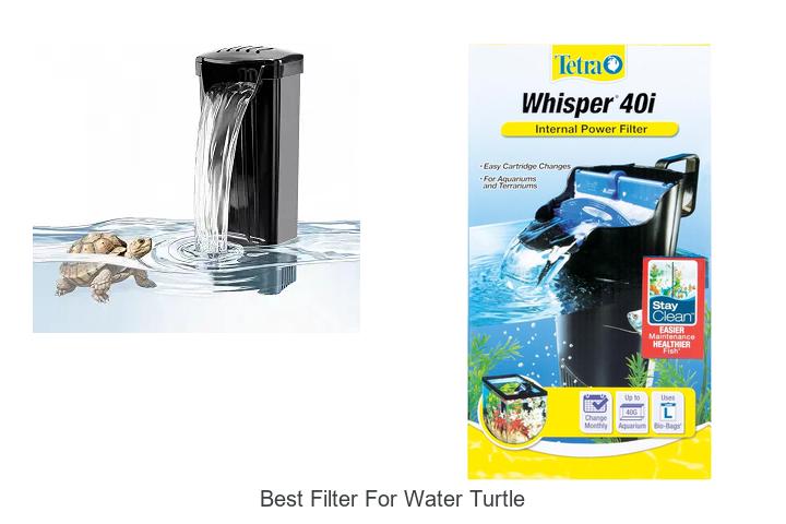 Best Filter For Water Turtle: Top Picks That Blow Minds
