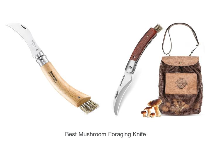 Best Mushroom Foraging Knife: Must-Have Cutting Tool!