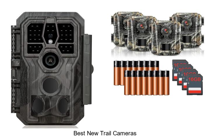 Best New Trail Cameras That Will Blow Your Mind Today