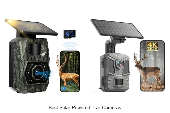 Best Solar Powered Trail Cameras That Blow Your Mind