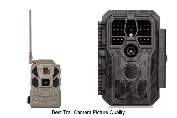 Best Trail Camera Picture Quality That Blows Minds!
