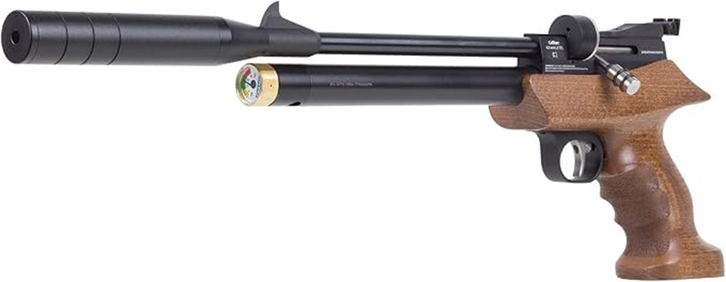 diana bandit 22 pistol