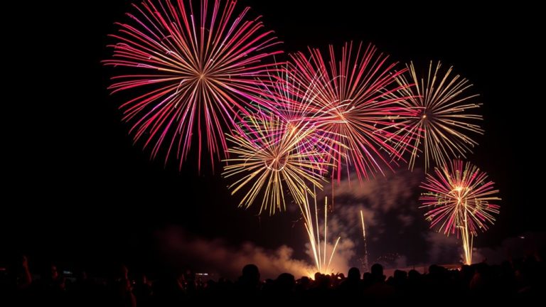 fireworks camera settings guide