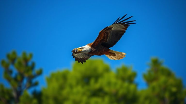 top canon wildlife cameras
