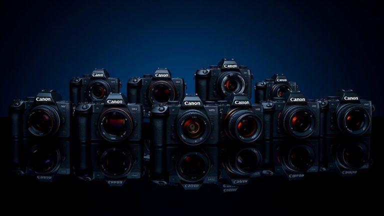 top low light canon cameras