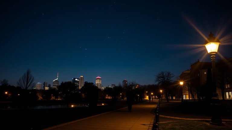 affordable low light night cameras