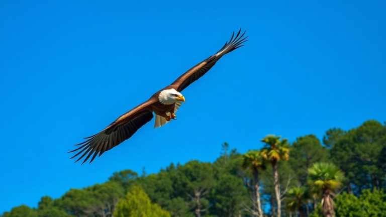 top full frame wildlife cameras