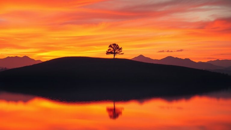 top sunset photography cameras